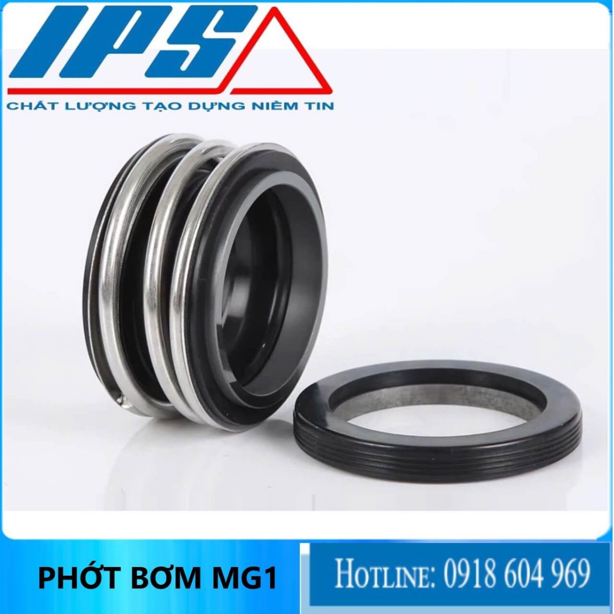 Phớt MG1-2(3)